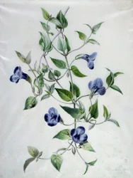 フラワーピース